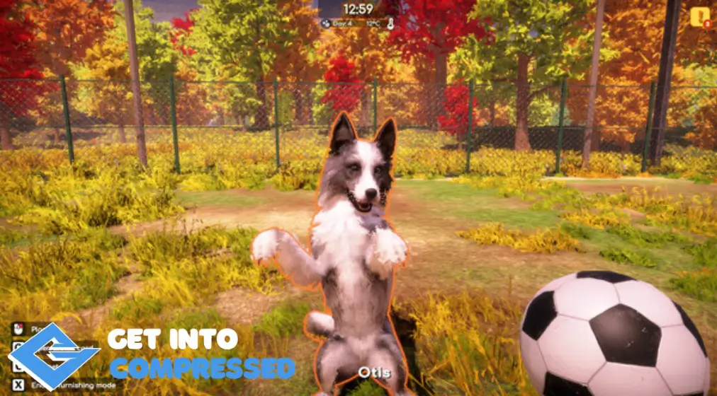 Animal Shelter 2 Game Modes